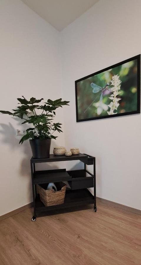 Waldstadt-Apartments Ίζερλον Εξωτερικό φωτογραφία